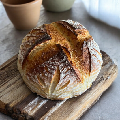 100+ year old Tradition - California Sourdough Starter - SUPER ACTIVE - Dry Starter < 1oz