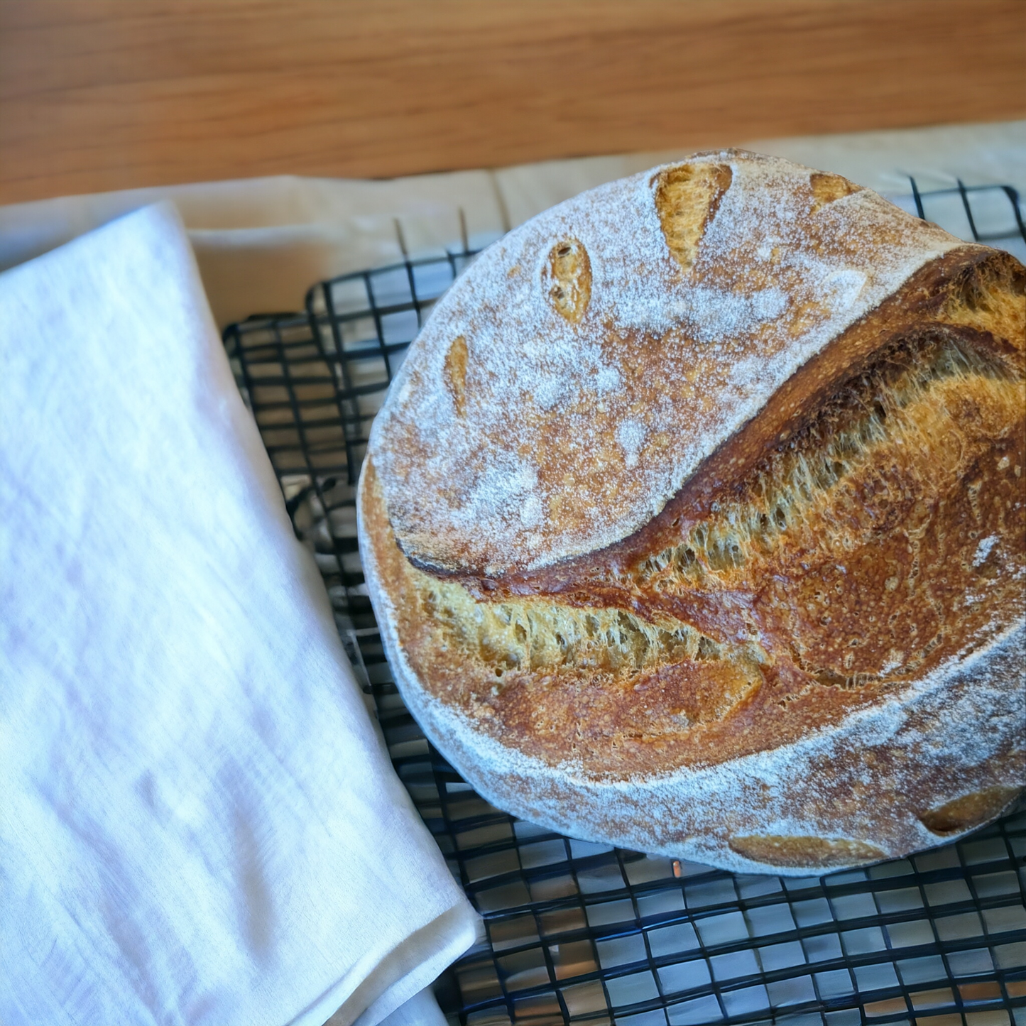 230+ year old tradition - French Sourdough Starter - SUPER ACTIVE - Dry Starter < 1oz