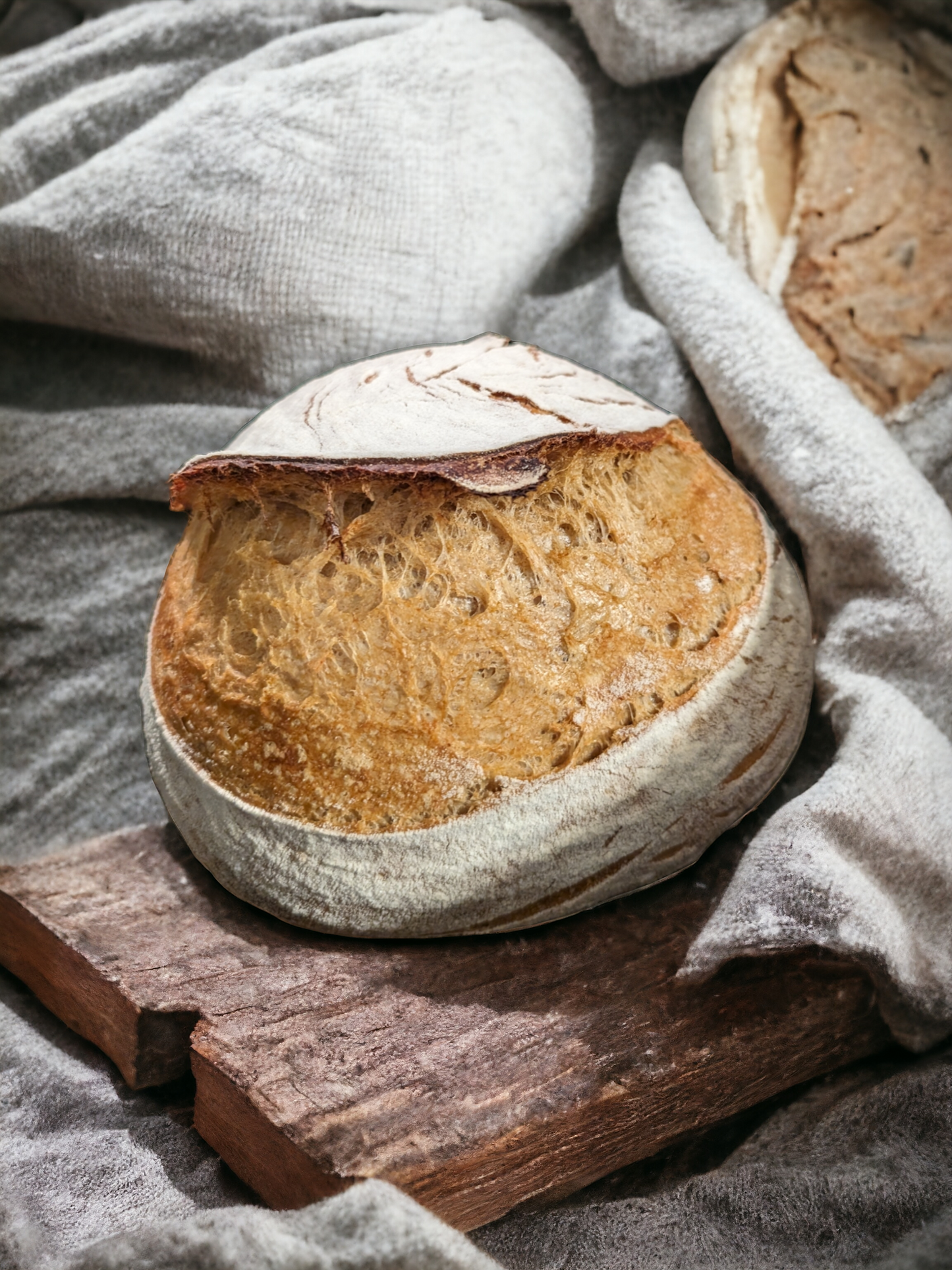 230+ year old tradition - French Sourdough Starter - SUPER ACTIVE - Dry Starter < 1oz