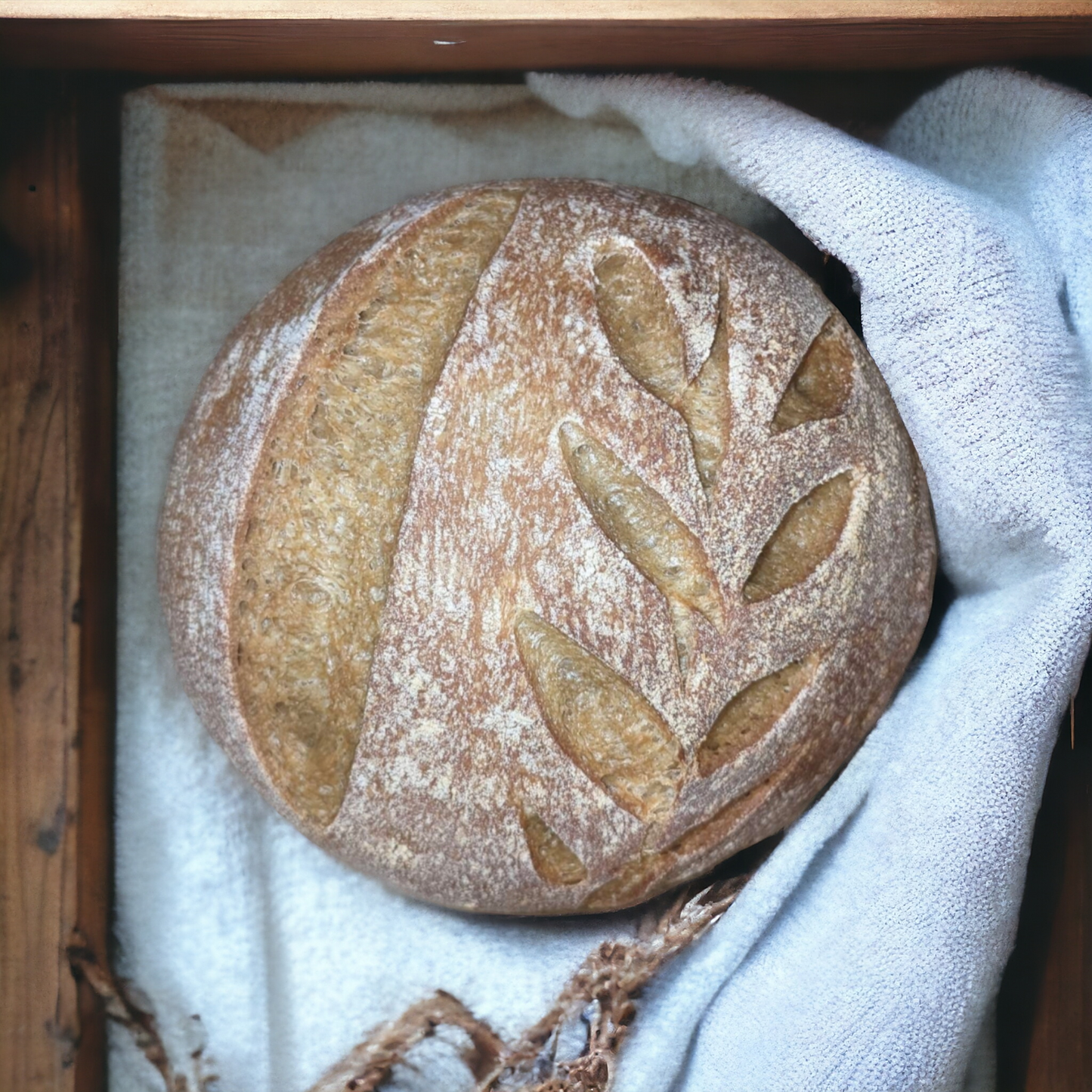 230+ year old tradition - French Sourdough Starter - SUPER ACTIVE - Dry Starter < 1oz